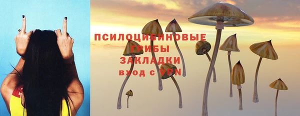 mix Абаза