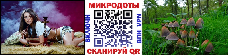 mega онион  Абдулино  Галлюциногенные грибы MAGIC MUSHROOMS 